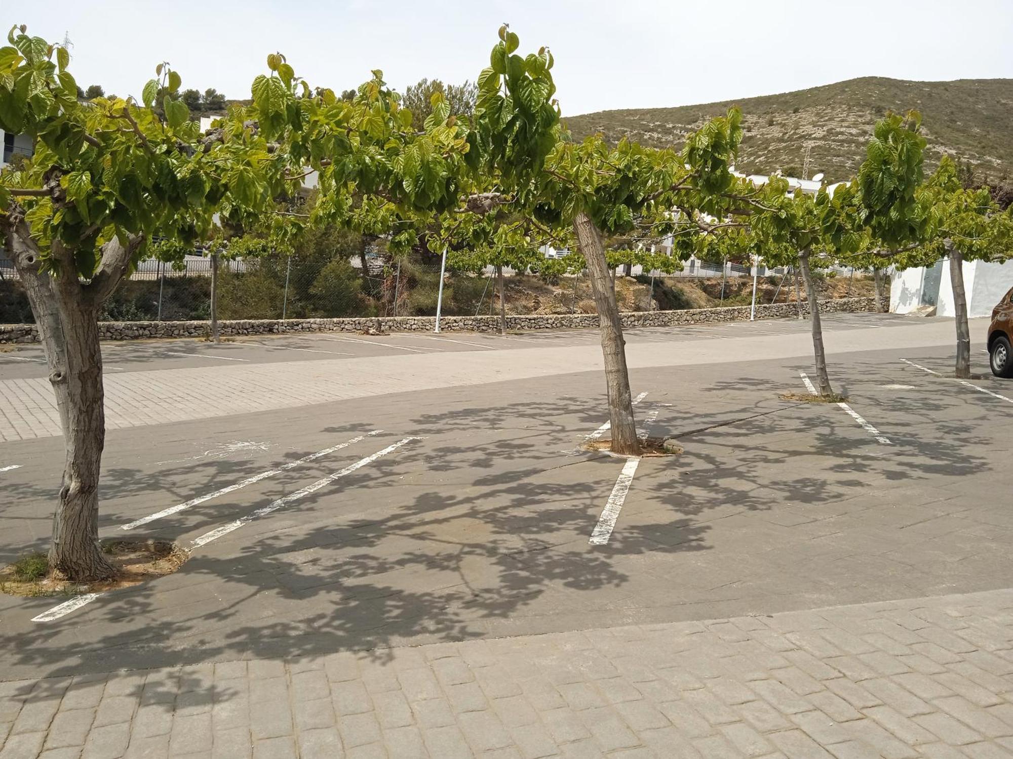Tierra De Irta 3000 Appartamento